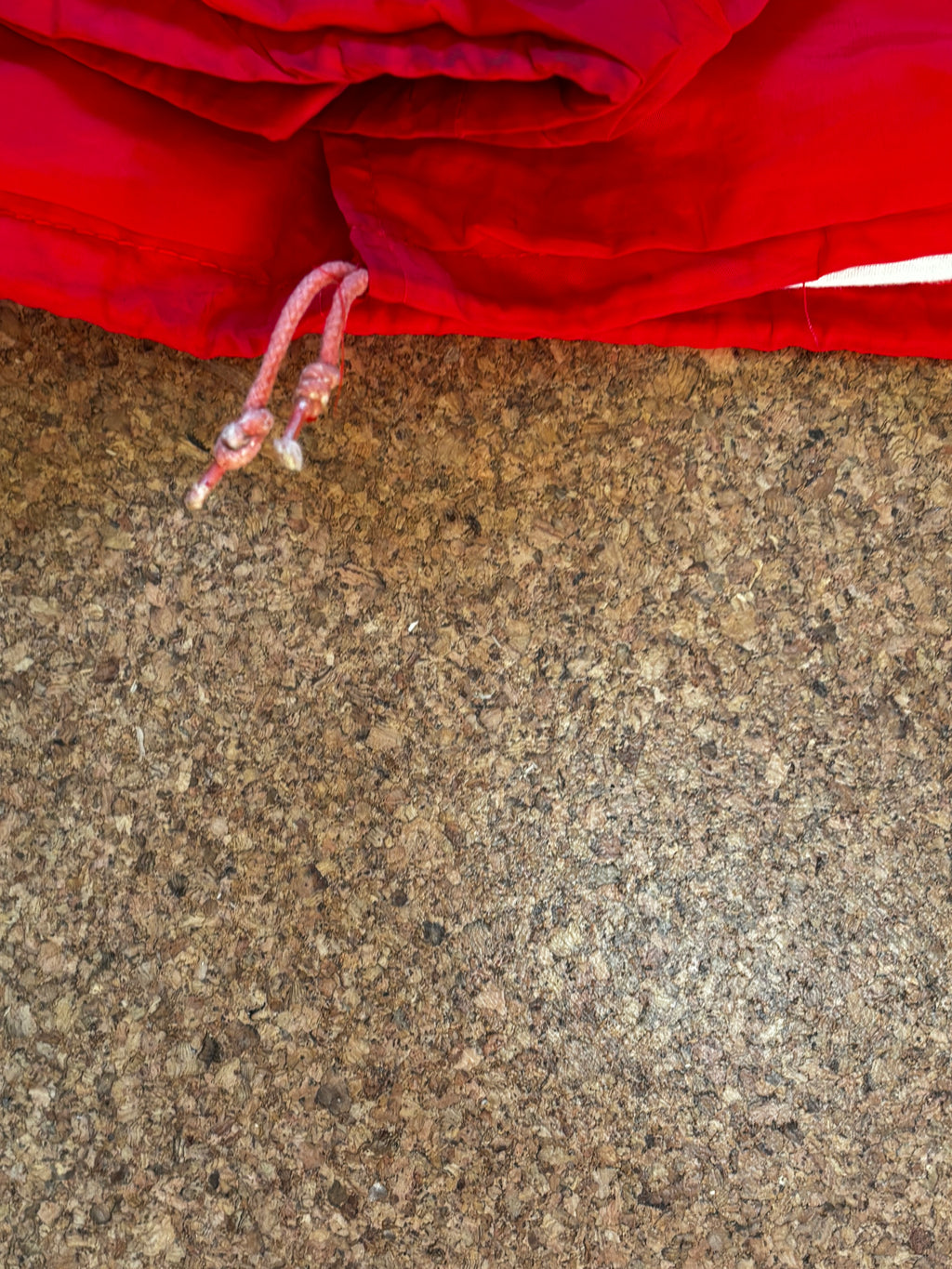 Vintage Arkansas razorbacks USA varsity football jacket